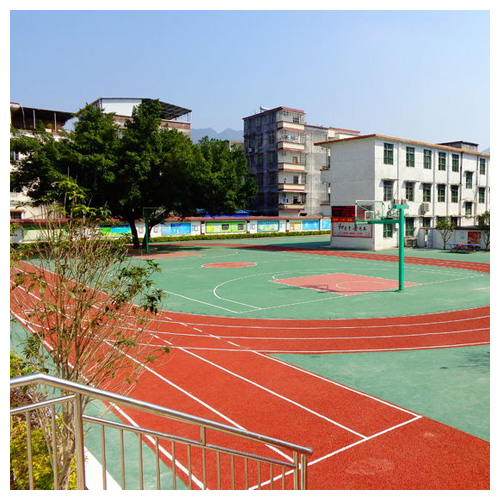 四川雷公坑小学复合型塑胶跑道